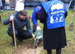После ночных «пересчетов» голосов в Волгограде побеждает «Единая Россия»