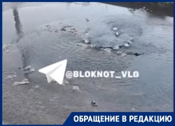 Фекальный ручей забил на юге Волгограда – видео 
