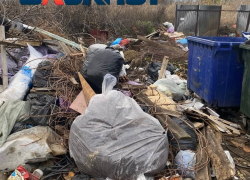 Мусорное бедствие сняли на видео жители частного сектора в Волгограде