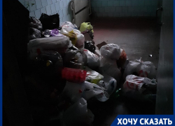 «Тараканы и черви в подъезде»: горы отходов скопились в 7-этажке Волгограда за месяц с забитым мусоропроводом