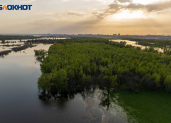 В Волгоградской области дочь закопала живую мать: женщина задохнулась