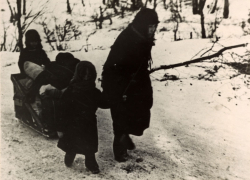 Без вакцины от оспы и с трупами на улице: 78 лет назад начали восстанавливать Сталинград