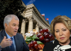 Волгоградские випы ждут мега-тусовку с банкетом и приездом Матвиенко и Володина