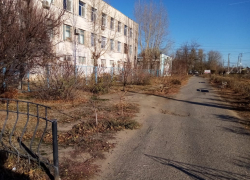 Спрашивали об отношении к геям: братья под видом блогеров проломили череп волгоградцу на глазах у жены