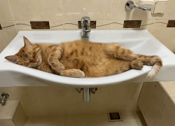 О масштабном отключении холодной воды предупредили жителей центра Волгограда