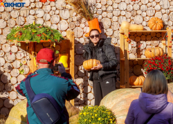 Супертеплый ноябрь ждет Волгоградскую область