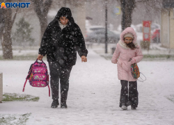  Повторения краснодарского снежного апокалипсиса ждут в Волгограде