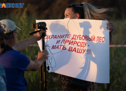 Саженцы взамен вырубленных дубов вымерзли в Волго-Ахтубинской пойме: обещали 400 тысяч