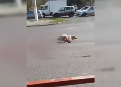 Смертельное ДТП с пожилой волгоградкой попало на видео