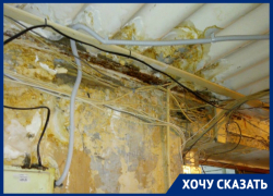 «Волоцков обещал помочь, но ничего не изменилось»: жильцы общежития в Волгограде о протекающей крыше
