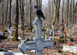 Каждый день от онкологии умирает 13 волгоградцев