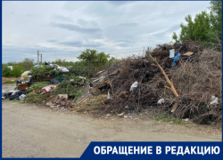 "По дворам бегают крысы размером с кошку": волгоградцы пожаловались на свалку