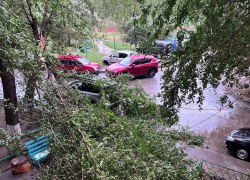 Бушующий ураган «Эдгар» ломает деревья в Волгограде