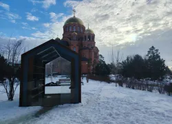 Мэрию Волгограда ткнули носом в позорный свинарник в центре города
