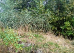 Волгоградца подозревают в убийстве 20-летней студентки из Воронежа 