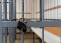 Мать и отчим осуждены в Волгоградской области за истязание 8-летнего сына