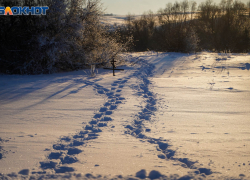 Трое пропавших волгоградцев найдены мертвыми в январе