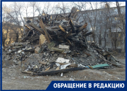 «Живем среди крыс и бродячих собак»: волгоградцы стали заложниками окружившей их свалки