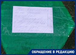 Фекалии в почтовом ящике и окурки на пороге: волжанка 1,5 года кошмарит соседей