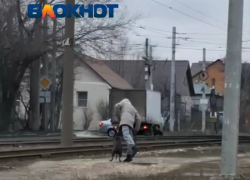 «Хватит бить собаку!»: бездушное избиение пса в Волгограде попало на видео