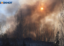 Двое детей погибли в страшном пожаре под Волгоградом