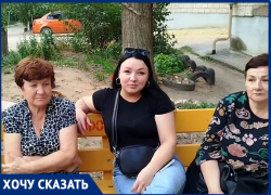«Здесь только мусор и собаки»: на жуткий двор пожаловались на юге Волгограда 