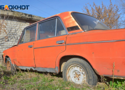 Возле урны тоже нельзя: понятие парковки у «зеленой зоны» уточнили в Волгограде