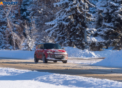 Вторая волна морозов накроет Волгоград на праздничных выходных 