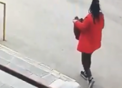 В Волгограде на видео попала коварная воровка вазона у школы 