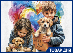 Бесплатная стерилизация собак