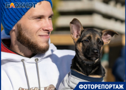 Милые щенки, дорогой сердцу винтаж и яркие поделки: волгоградцы устроили гаражную распродажу