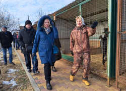 Волгоградская депутат прошлась по собачьему дерьму в вещах как из ЦУМа за миллион