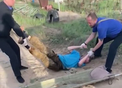 Волгоградец снес на автомобиле семь могил на кладбище: видео задержания