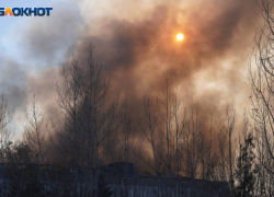 Маленькие братья погибли при пожаре в Волгоградской области — их мать спаслась