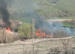 Пожар около СНТ сняли на видео под Волгоградом