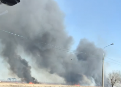 На видео попал полыхающий камыш в Красноармейском районе Волгограда 