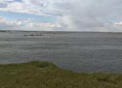 Рыбалка бизнесмена в Волгограде: трое найдены мёртвыми