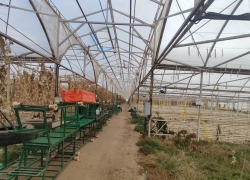 Крупный тепличный комплекс продают под Волгоградом за 147 миллионов из-за долгов