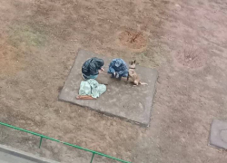 Бомбу нашли около детского сада под Волгоградом 