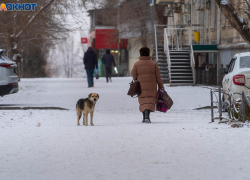 Тепло, туман и гололедица: погода в Волгограде на 1 февраля