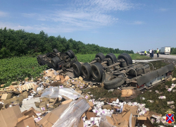 Вся земля усыпана коробками: смертельный треш-обгон устроил в Волгоградской области водитель фуры