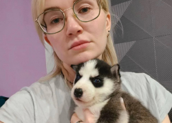 «Выплакали все глаза»: четверо щенков хаски умерли друг за другом у волгоградских волонтеров