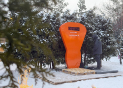 Вместо килограммов — морковки: в волгоградском парке появились необычные весы