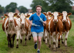 За отказ прививать животных подали в суд на волгоградца