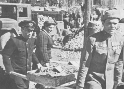 Календарь: 24 марта 1947 года – правительство СССР приняло решение возрождать Сталинград по – настоящему