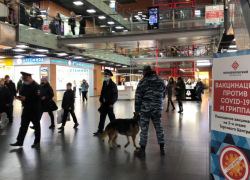 В Волгограде обидевшийся на охранников покупатель «заминировал» «Парк Хаус»