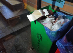 Мусорная реформа по-волгоградски: город под атакой поджигателя контейнеров