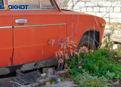 Волгоградцы теряют миллионы в попытках купить машину