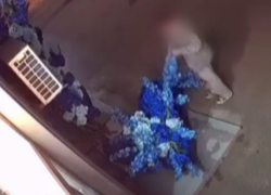 Наглый романтик обокрал цветочный в центре Волгограда - видео
