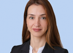 Волгоградский депутат ополчилась на Интернет за большое количество негатива